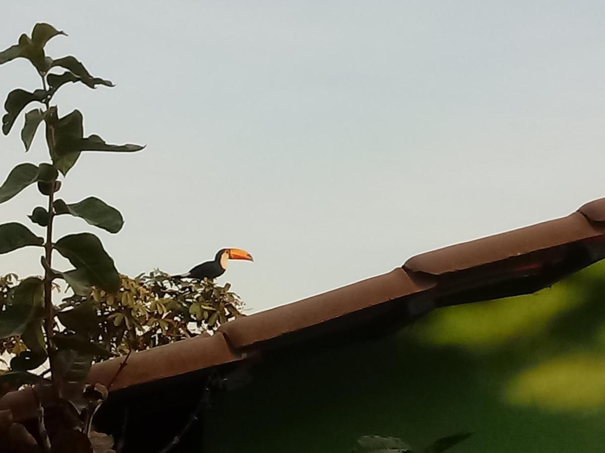 Chale Nova Aurora Villa Alto Paraiso de Goias Ngoại thất bức ảnh